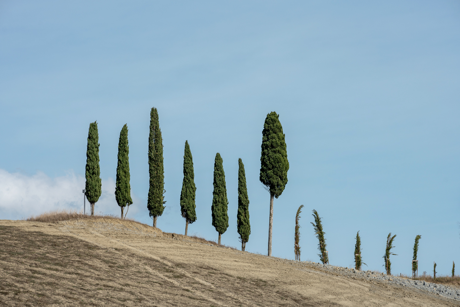 paesaggio collinare toscano con cipressi