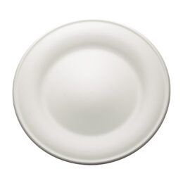 piatto New York piano è realizzato in porcellana dura feldspatica