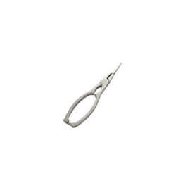 pinza aragosta